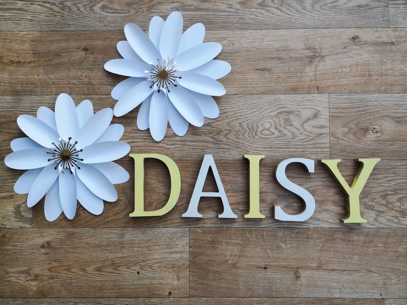 Large Wall Flowers - Daisy Style