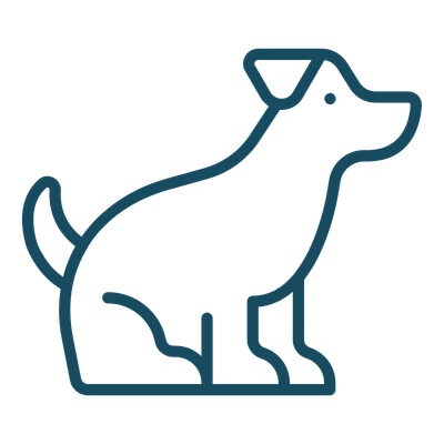 Dogs