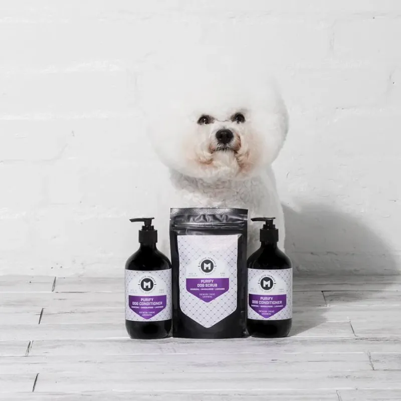 Melanie Newman PURIFY SHAMPOO 500ml