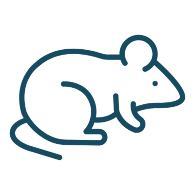 Small Pet