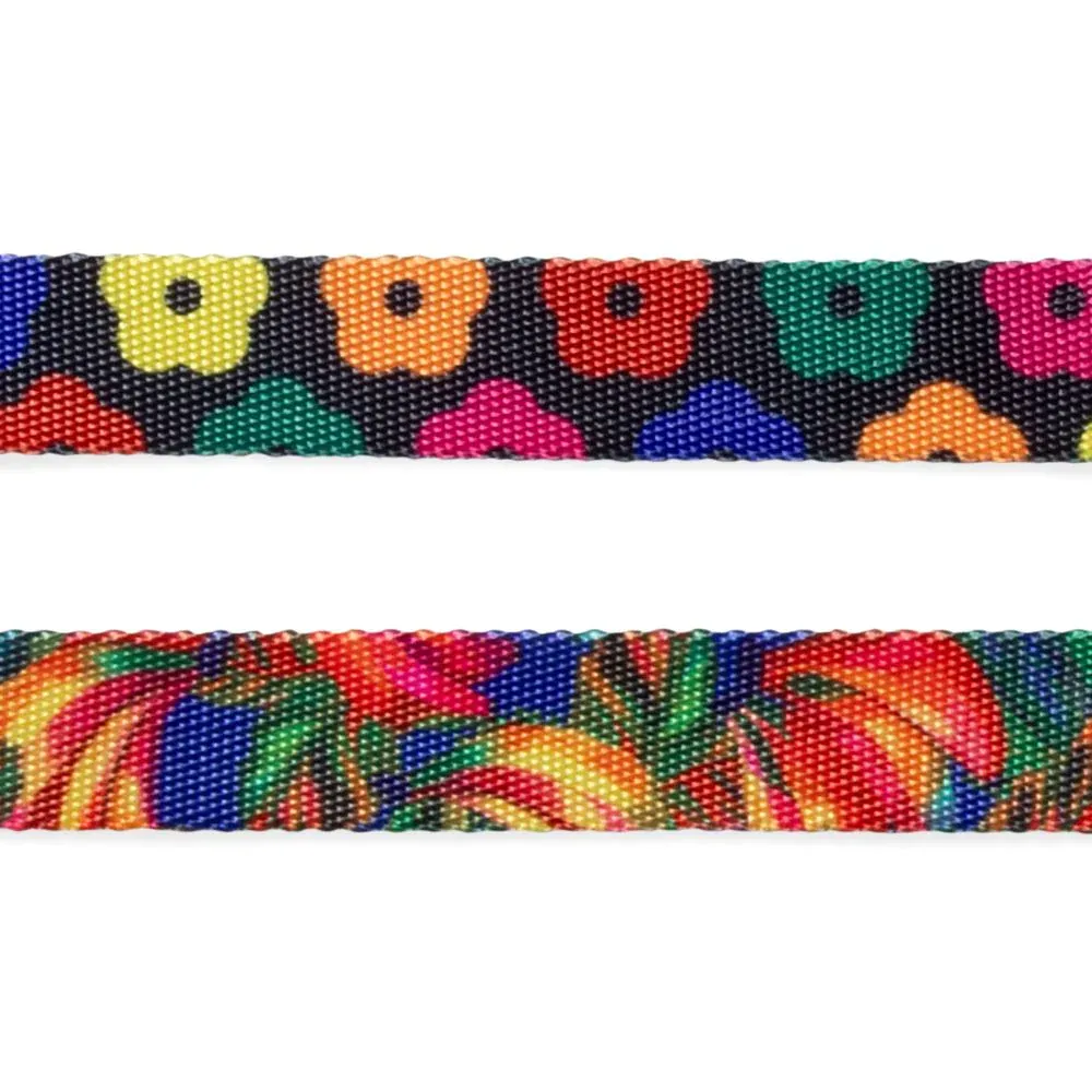 Zee.Dog Leash - Samba