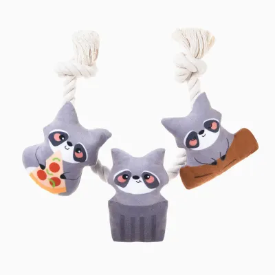 Hugsmart Pet - Raccoon Buddies | Raccoon Rope