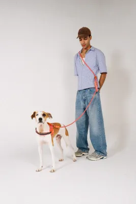 Zee.Dog Hands-Free Leash - Gazelle