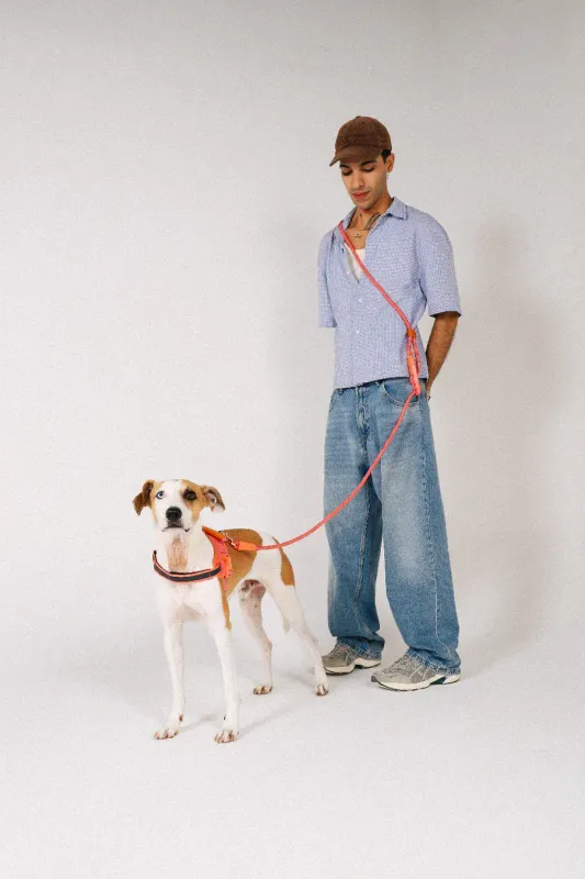 Zee.Dog Hands-Free Leash - Gazelle