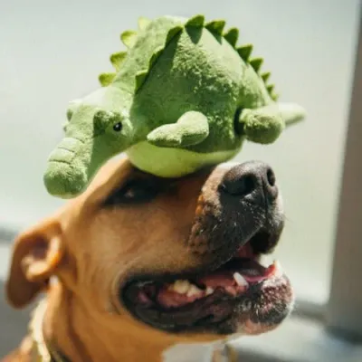 P.L.A.Y. Safari - Crocodile