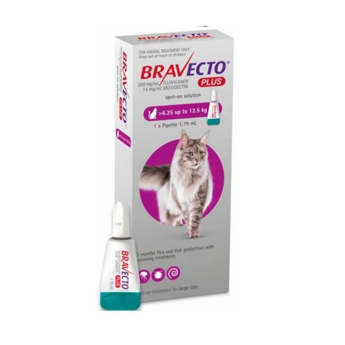 Bravecto Plus Cat (grande) 6.25 a 12.5 kilos