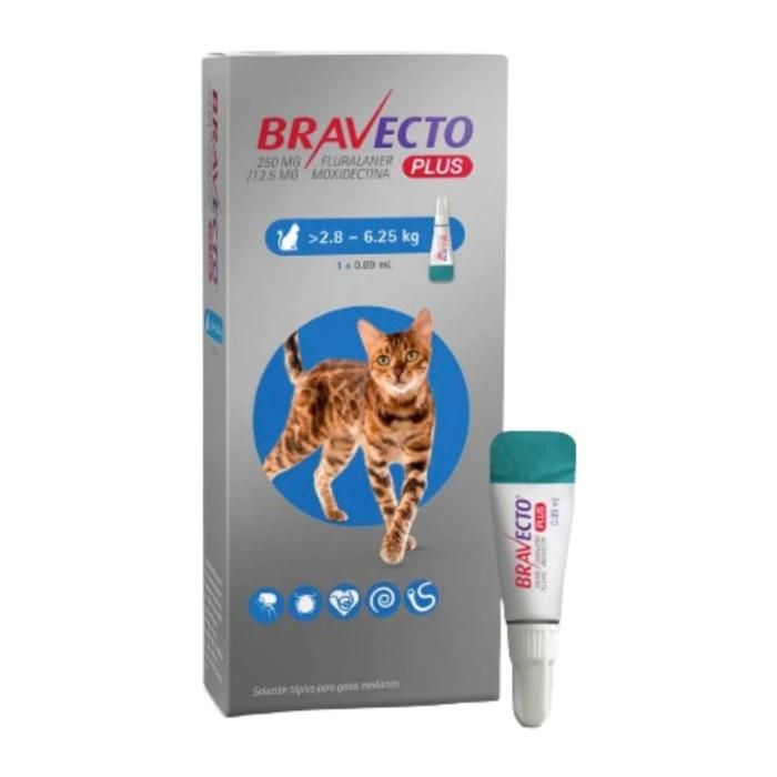 Bravecto Plus Cat (mediano) 2.8 a 6.25 kilos