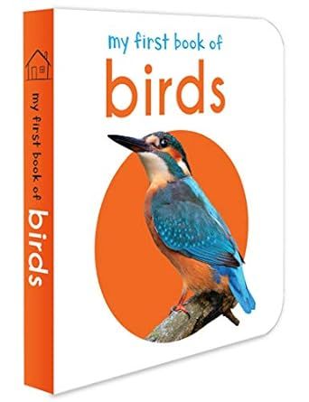 My first book of birds