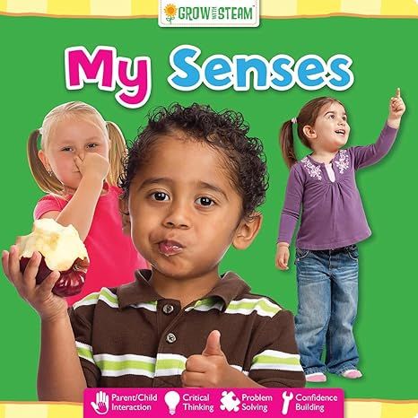 My senses | Mis sentidos