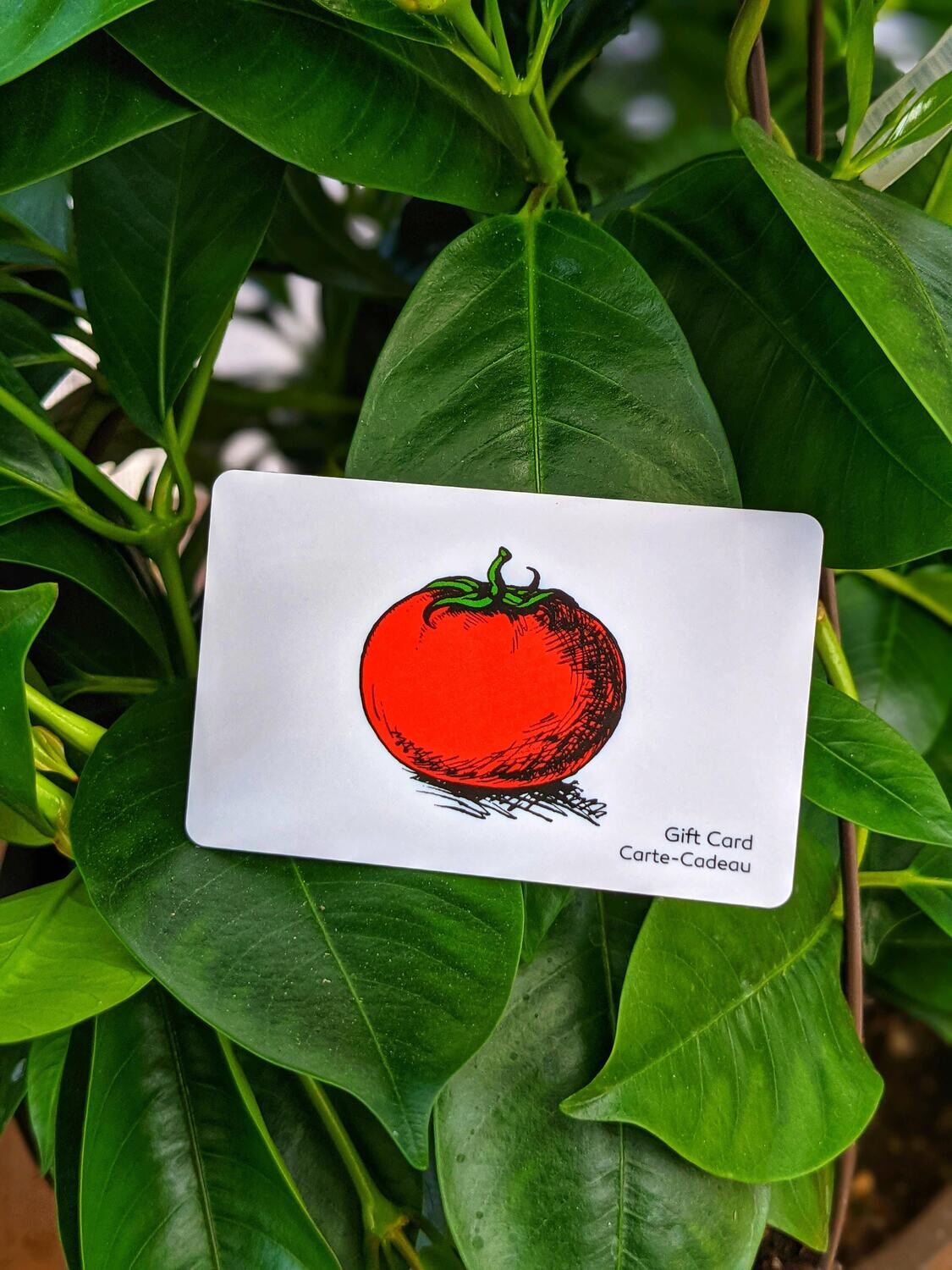 St-Léon Gardens Gift Card (various values)