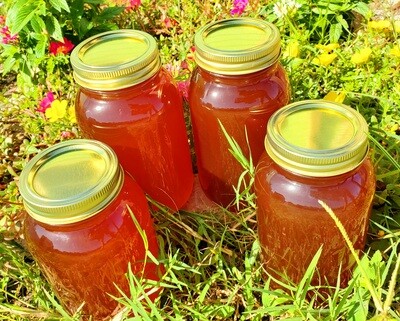 Full Gallon in Plastic- Fall Harvest Honey