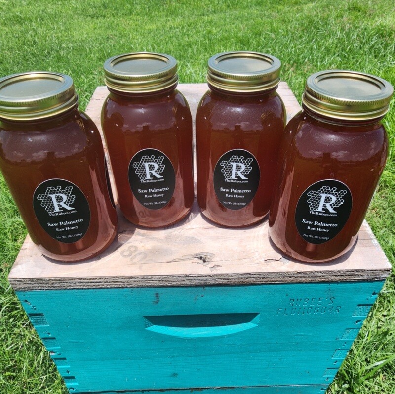 Full Gallon in Glass- Saw Palmetto Honey
