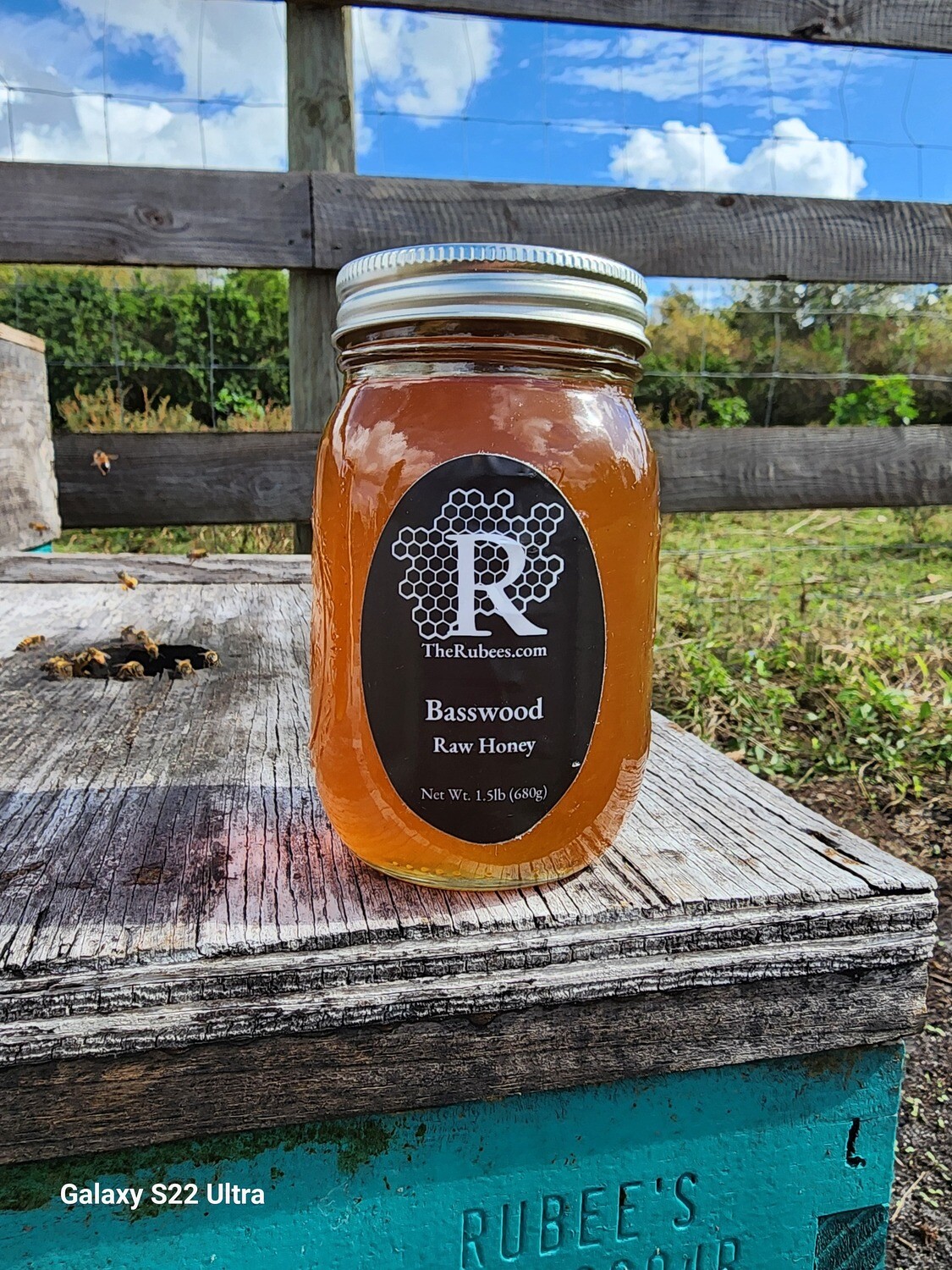 Pint Jar- Basswood Honey