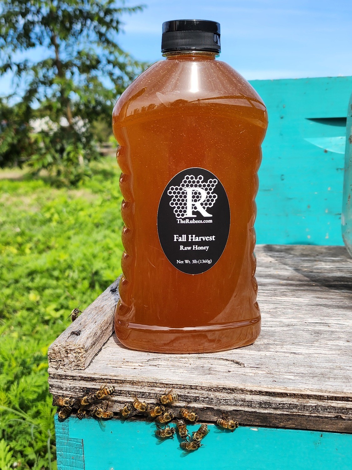 3lb Jug- Fall Harvest Honey