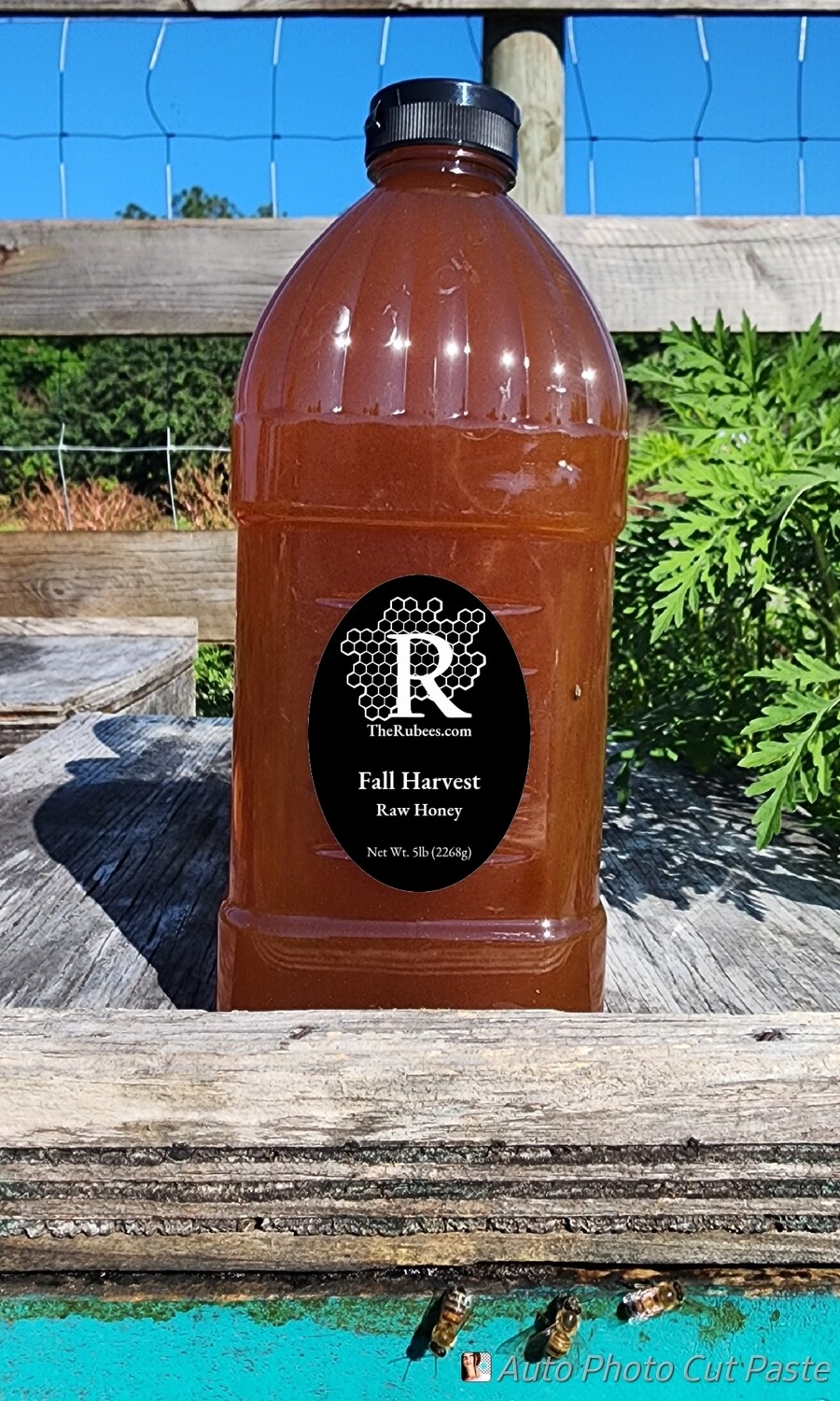 5lb Jug- Fall Harvest Honey