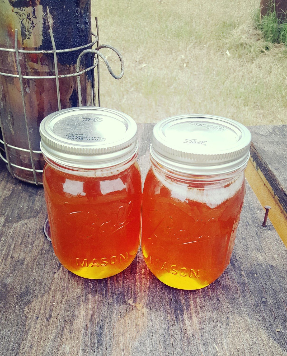 Pint Jar- Brazilian Pepper Honey