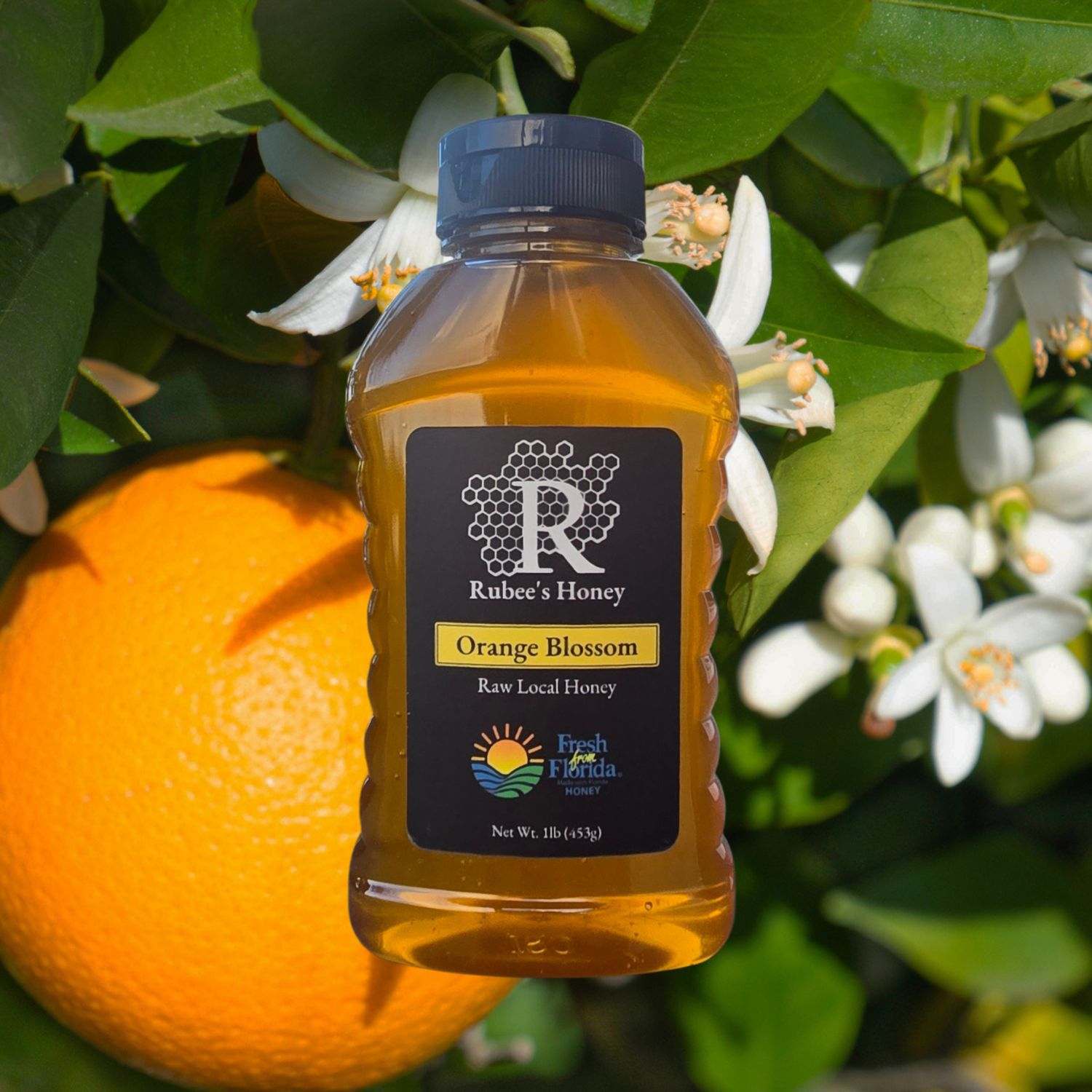 1 Pound Skep- Orange Blossom Honey