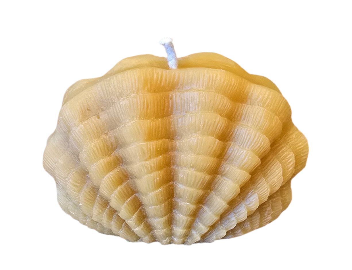 Clamshell
