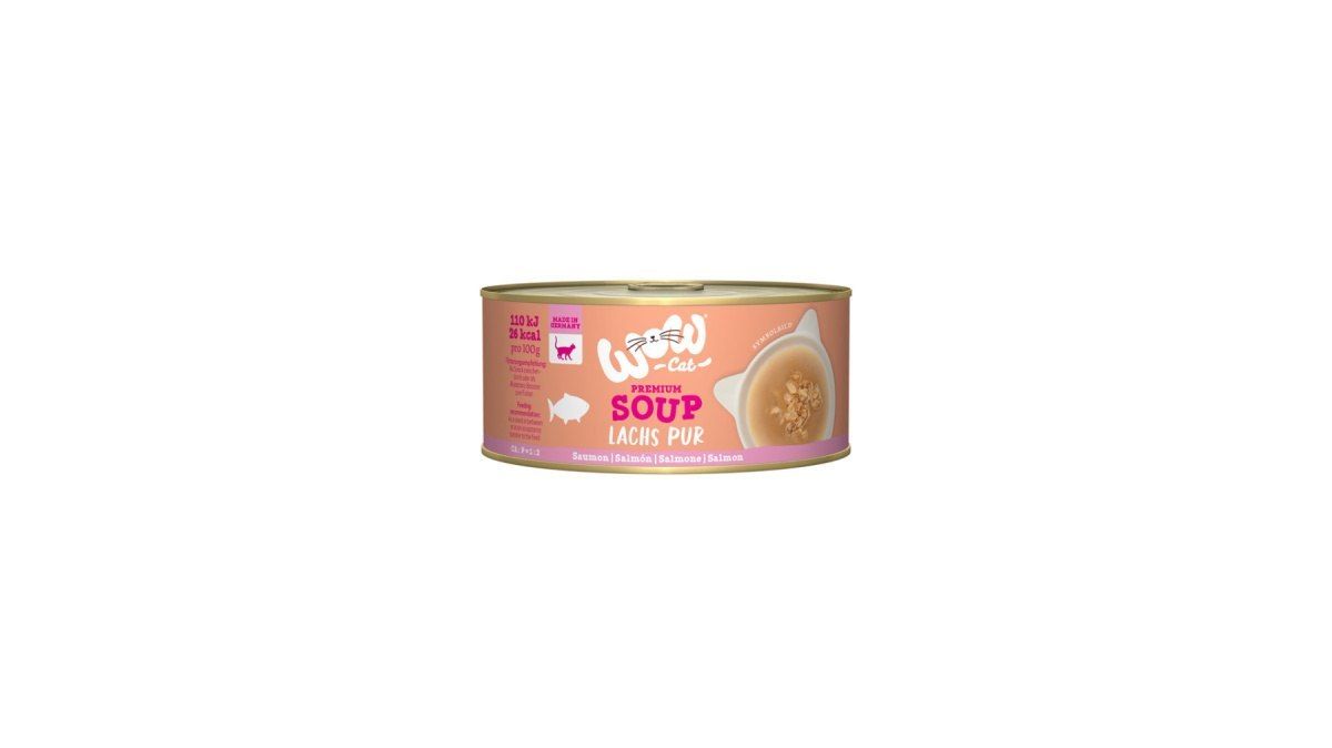 WOW Cat soup bulion z łososiem (70g)