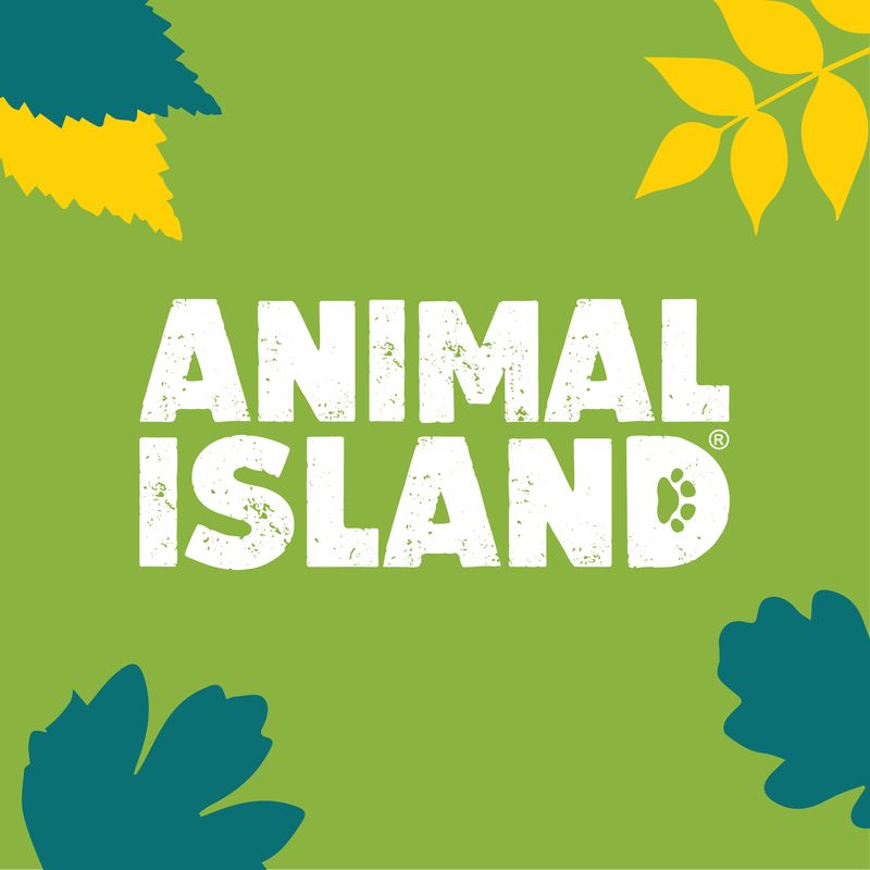 Animal Island