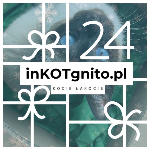 Koci kalendarz adwentowy mix smaków (dla wszystkożernych)