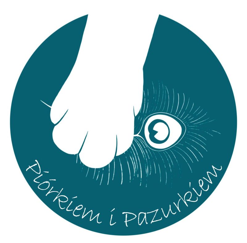 Piórkiem i pazurkiem