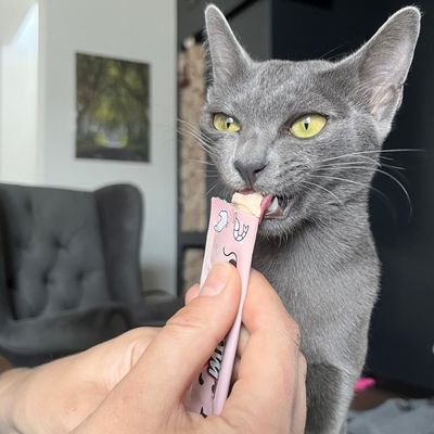 MR. BANDIT CREAMY MOUSSE przysmak dla kota z kurczakiem i krewetkami