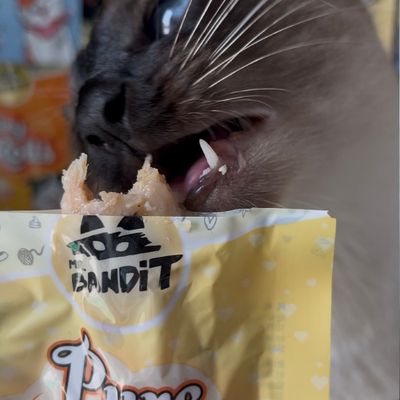Mr. Bandit pure fillets filet dla kota grillowany kurczak