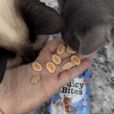Inaba Juicy Bites wilgotne przysmaki o smaku kurczaka i tuńczyka