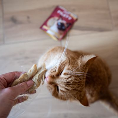 Pan Mięsko przysmak dla kota - filet z kaczki