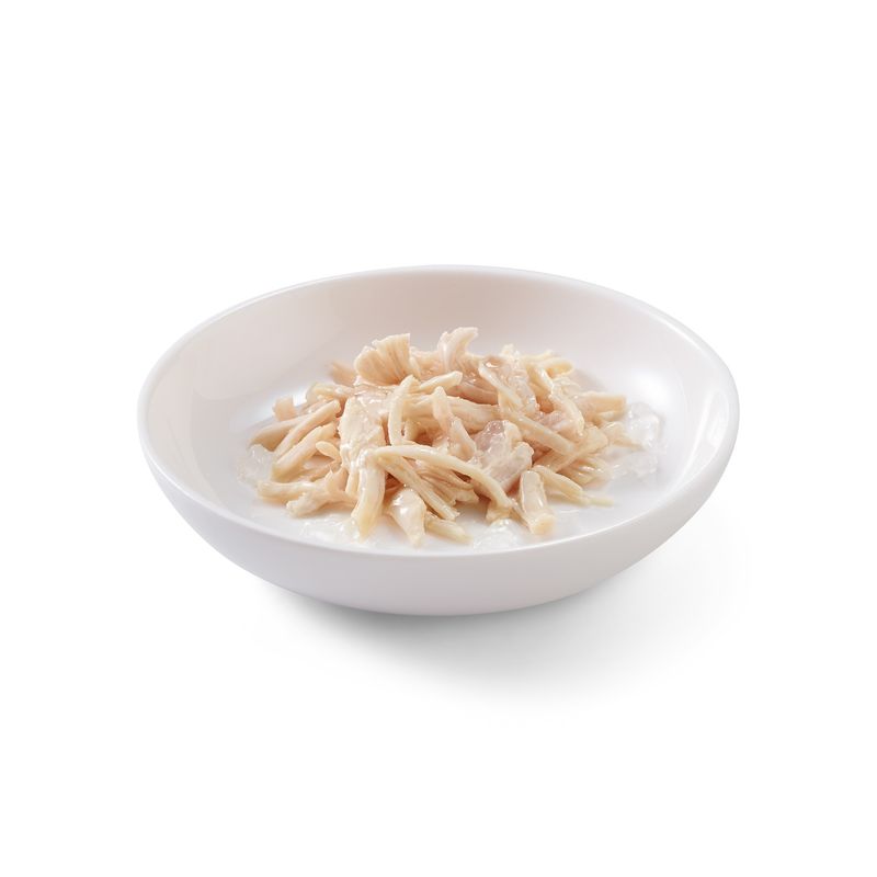Schesir Complements kurczak w galarecie 70 g