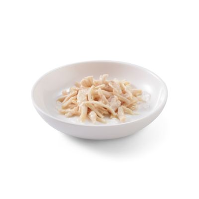 Schesir Complements kurczak w galarecie 70 g