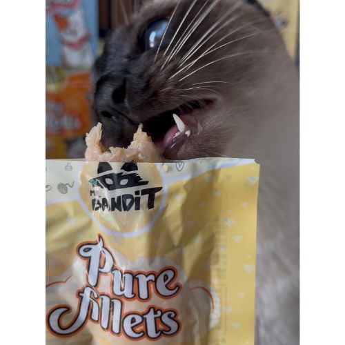 Mr. Bandit pure fillets filet dla kota kurczak i wędzona ryba