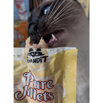 Mr. Bandit pure fillets filet dla kota kurczak i wędzona ryba