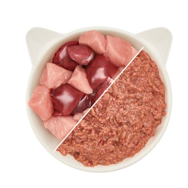 WOW CAT Junior drób z wątróbką (125g)