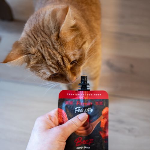 Fitmin for life kremowy przysmak w tubce - wołowina 100g