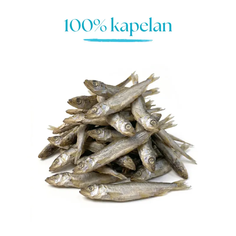 Dr Malou liofilizowane rybki (kapelan) 80g