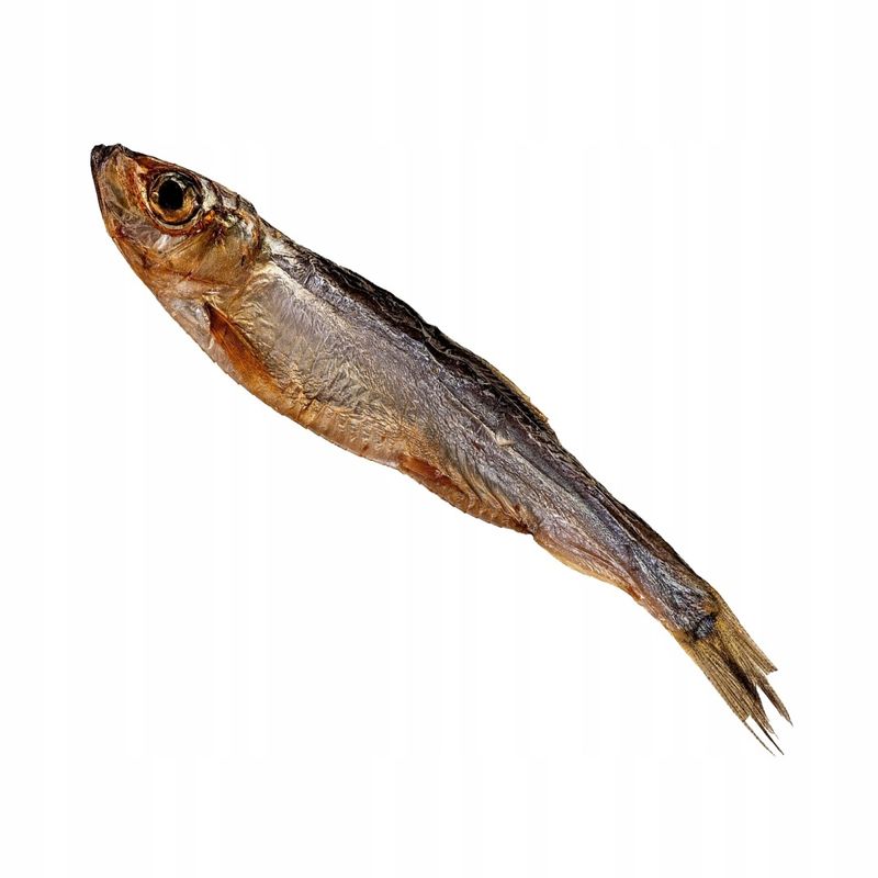 GACZOO szprotka bałtycka 50g