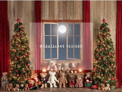 Christmas Mini Teddy Sessions - Saturday 19 November 2022
