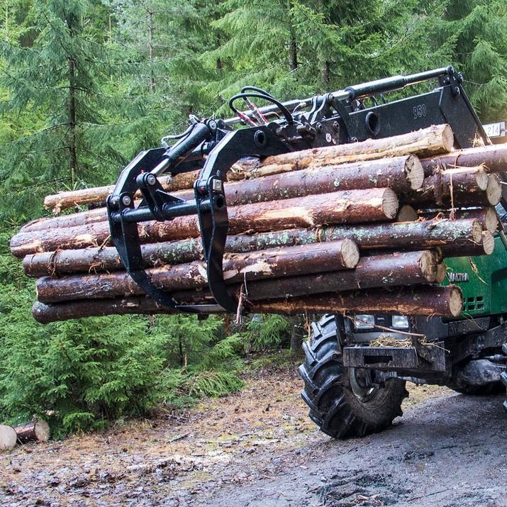 Holzgreifer Euroaufnahme