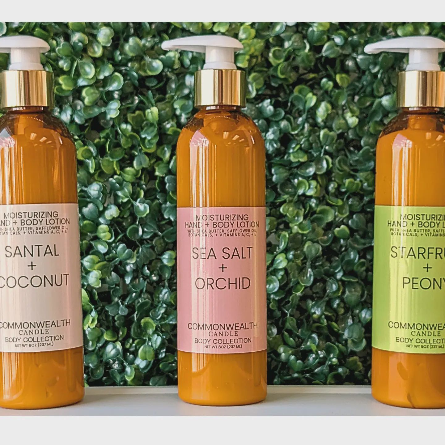 Sea Salt &amp; Orchid (Lotion)