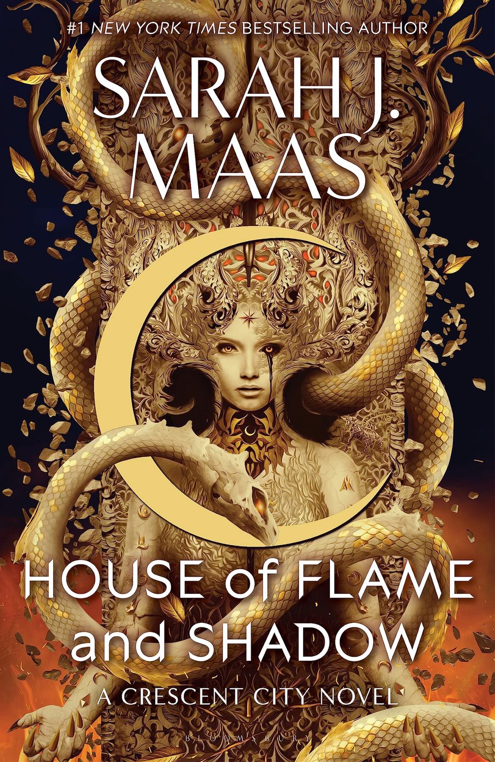 House of Flame and Shadow (Hardcover)