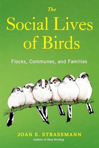 The Social Lives of Birds: Flocks, Communes, and Families