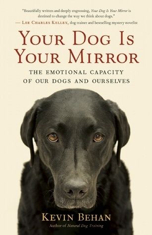 Your Dog Is Your Mirror: The Emotional Capacity of Our Dogs and Ourselves