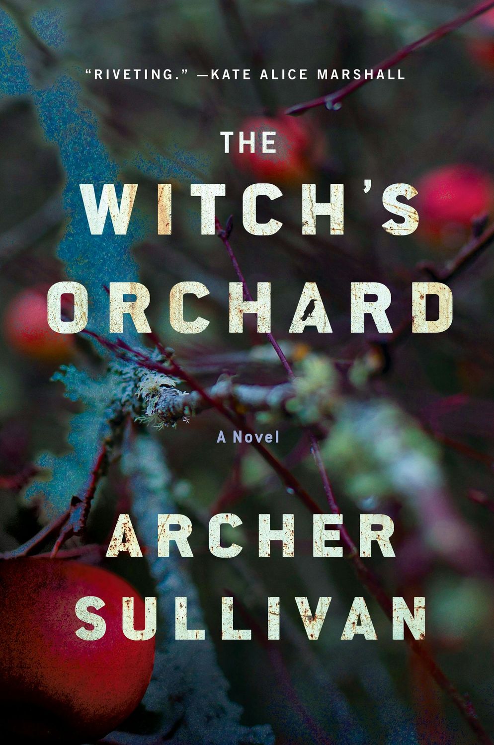 The Witch's Orchard (Annie Gore #1), Material: Hardcover