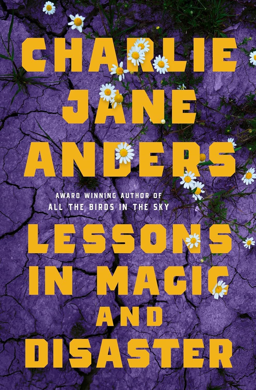 Lessons in Magic and Disaster, Material: Hardcover