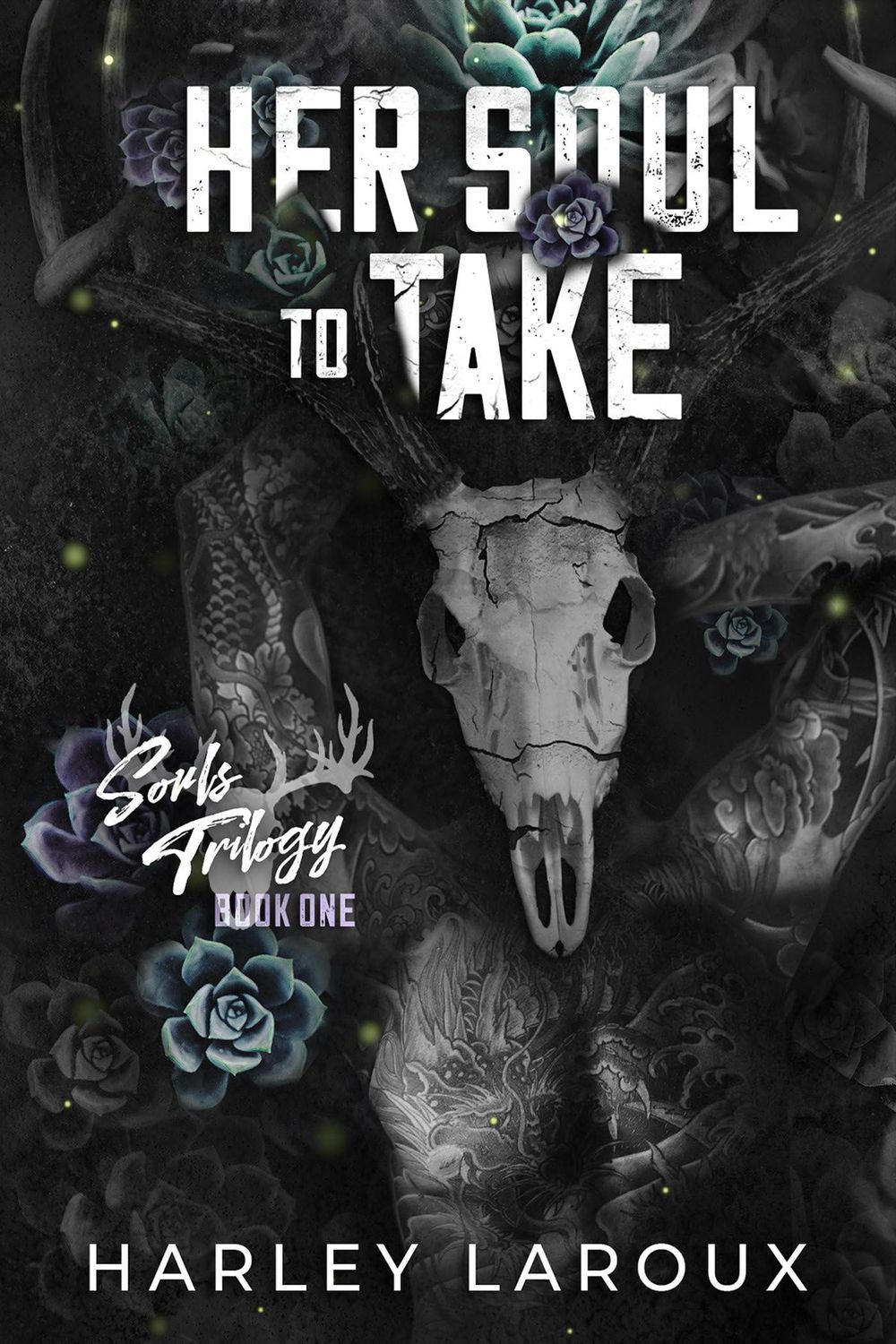 Her Soul to Take (Souls Trilogy #1)