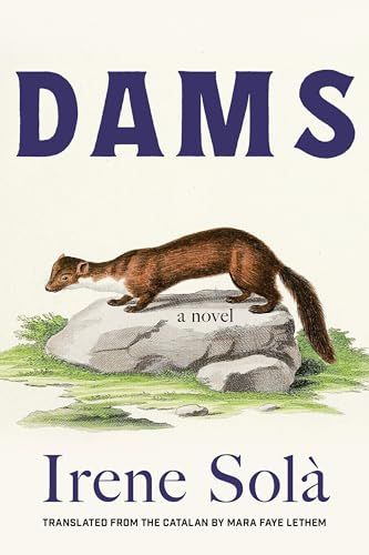 Dams