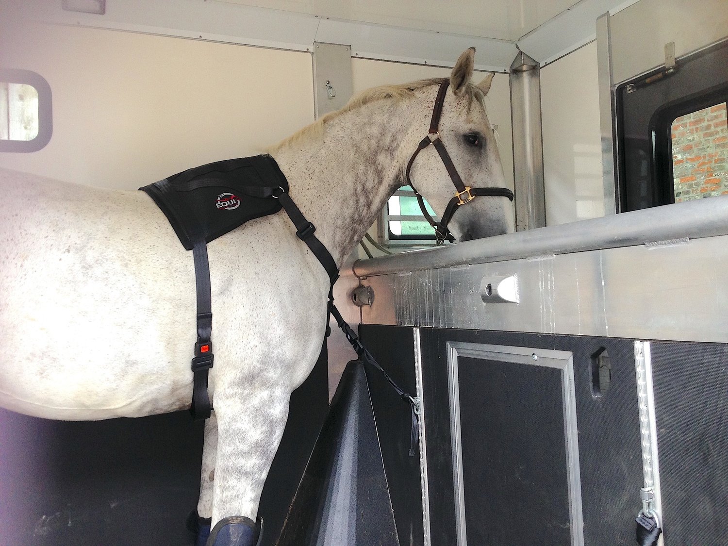 Equi Travel Safe and Track, Ring and Fitting Kit