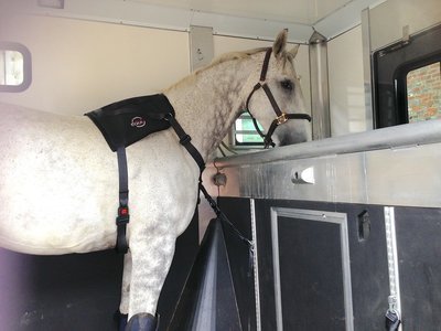 SPECIAL OFFER! Equi Travel Safe and Track, Ring and Fitting Kit